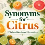 Synonyms for Citrus