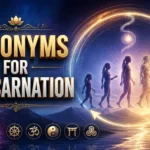 synonyms for reincarnation
