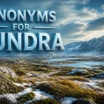 synonyms-for-tundra