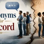 synonyms for discord