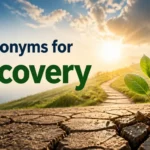 Synonyms for Recovery