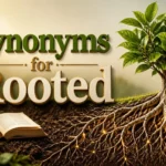 Synonyms for Rooted