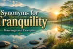 Synonyms for Tranquility